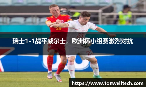 瑞士1-1战平威尔士，欧洲杯小组赛激烈对抗