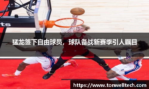 猛龙签下自由球员，球队备战新赛季引人瞩目
