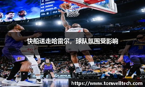 德信体育官网入口