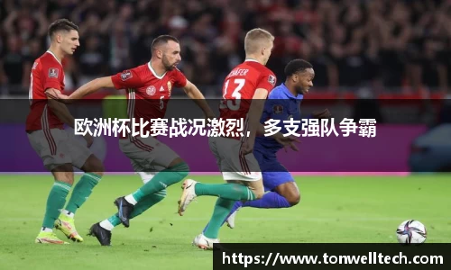 欧洲杯比赛战况激烈，多支强队争霸