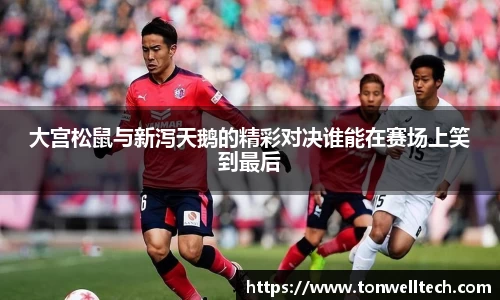 德信体育官网